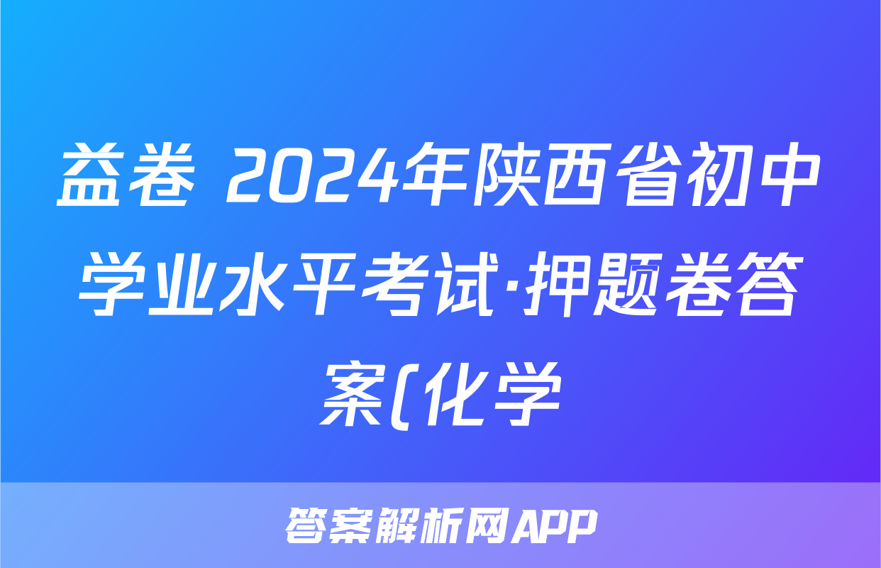益卷 2024年陕西省初中学业水平考试·押题卷答案(化学)